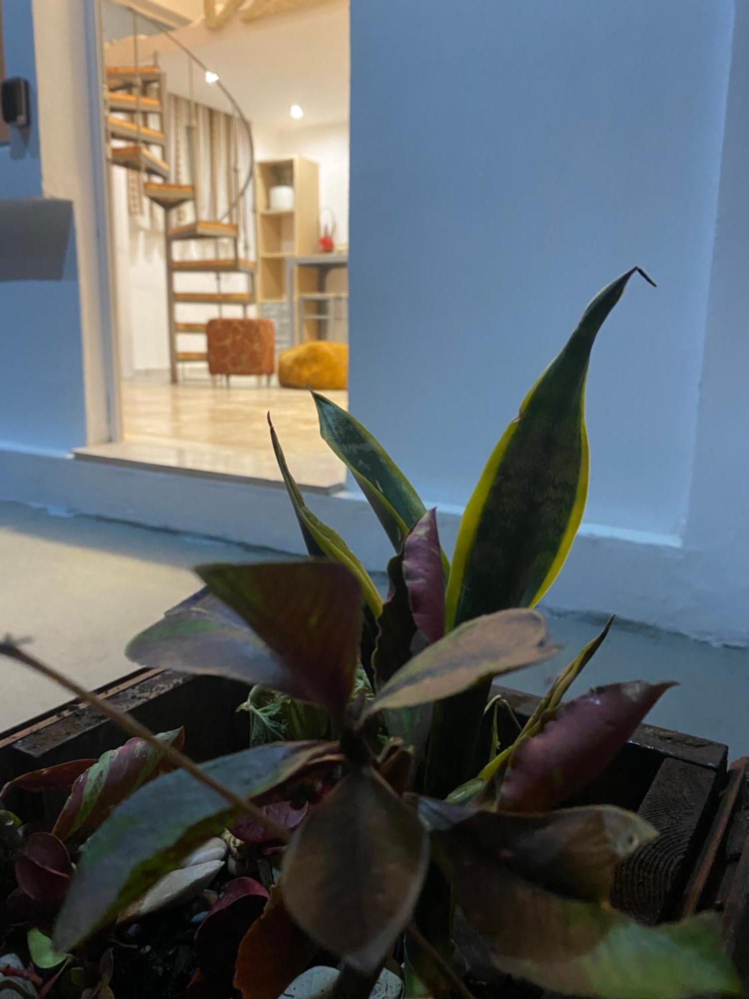 Flowers Lullaby Loft Afantou Dış mekan fotoğraf